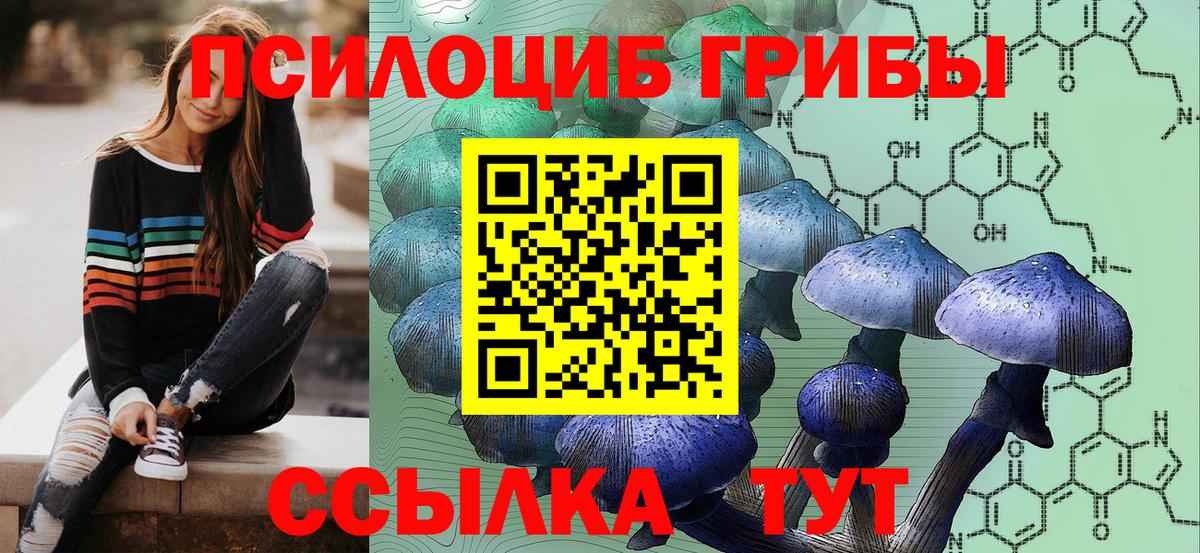 Галлюциногенные грибы мухоморы  Вход с VPN  Новошахтинск 
